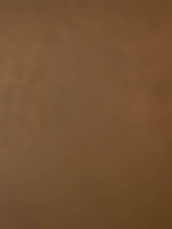 Zahnwerk wasserburg 2026 portraits 1091